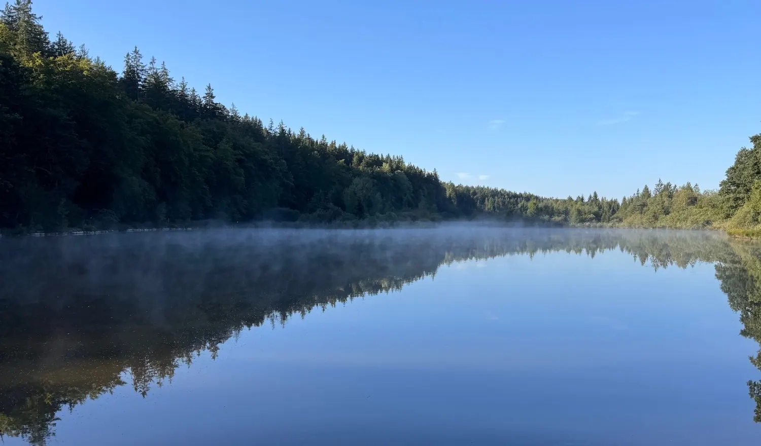 Der Deininger Weiher am Morgen: Nebel über dem glatten Wasser, Wald am Ufer, blauer Himmel. Sommerfoto, im Januar sieht es anders aus.